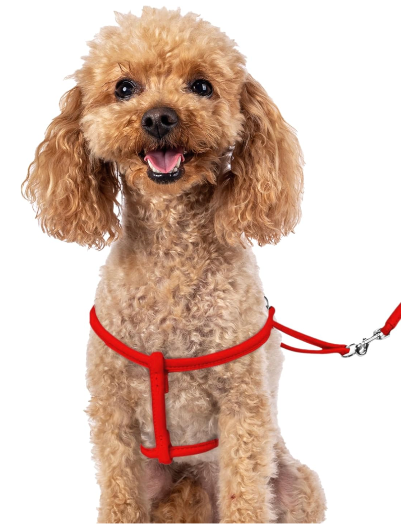 CollarDirect Rolled Leather Dog Harness Small Puppy Step-in Leash Set for Walking Pink Red White Blue Green Black Purple Beige Brown Yellow (Red, S)
