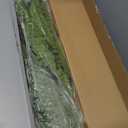 FOREST PRINCE 35" Ferns Artificial Bush Plants Large, 2 Artificial Boston Ferns with 39 Fronds for Outdoors Home Decor