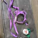 EzyDog Quick Fit Dog Harness – No Pull Harness for Training, Everyday Walking, and Easy Control - Adjustable Fit, Reflective, and Padded (Large, Purple)