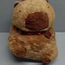 Achwishap Capybara Plush - Cute Stuffed Animal Toy With Birthday Hat - Kawaii Plushie Gift for Kids and Adults (18")