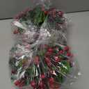 Artiflr Red Berry Christmas Garland with Pine Cone Garland Artificail Berry Garland Indoor Outdoor Garden Gate Home Decoration for Winter Holiday New Year Decor