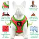 EcoBark Small Dog Harness - Luxury Soft Step in Reflective Ultra Padded Mesh Dog Harnesses for Toy Breed Dogs - Comfortable & Secure Body Halter Pet Vest (Small, Watermelon)