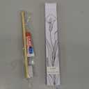 Individually Wrapped Disposable Toothbrush and Toothpaste Boxed 200 Sets per Case Flower Series