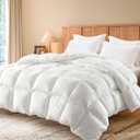 Globon Queen Size Down Comforter,All Season Hotel Luxury Down Duvet Insert with 100% Cotton Shell & 8 Corner Tabs, 106x90 Inches, White