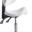 Saddle Stool Chair Rolling with Back Esthetician Chair for Nail Tech Dental Tattoo Artist Eyelash Hairdresser Hairstylist Medical Shop Ergonomic Stool Adjustable Hydraulic White