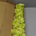 Kimura's Cabin 6pcs Silk Hydrangea Artificial Flowers Fake Hydrangeas Flower with Stems Faux Hydrangea Bouquets for Wedding Party Arrangements Home Table Centerpieces Decoration (Lime Green)