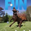 Automatic Ball Thrower for Dogs, Ball Launcher for Dogs - 2.5" Dog Balls * 6Pack (Blue)