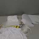 Amazon.com: Morph Angel Costume For Girls, Girls Angel Costume, Angels Costumes For Kids, Kids Angels Costumes, X-Large : Clothing, Shoes & Jewelry