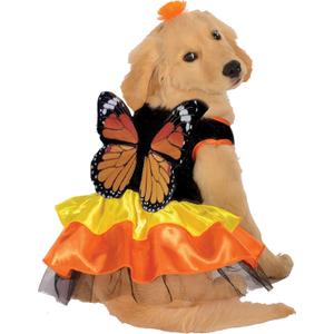 Rubies Monarch Butterfly Pet Costume for Dogs or Cats, XL (X-Large (Pack of 1))