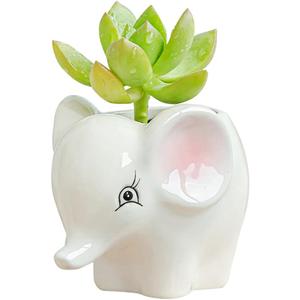 DIYOMR Cute Animal Ceramics Planter Small Succulent Pot Cartoon Shaped Plant Pot for Mini Plants Flower Cactus, Smooth Shiny Ceramic - Plants Not Included (Elephant)
