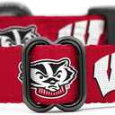 Wisconsin Badgers Collars and Leashes | Officially Licensed | Fits All Pets! (Large Collar)