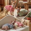 DENTRUN Hairless Cats Shirt Breathable Cat Daily Wear Clothes Stripe Vest Adorable Pajamas Jumpsuit Soft & Skin-Friendly, XL