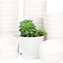 TDHDIKE 25 Pcs Plastic Planters Indoor Flower Plant Pots, Mini Flower Seedlings Nursery Pot with Pallet, Modern Decorative Gardening Containers (White, 25)