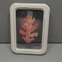 Fall Leaf Print | Oak Leaf Autumn Decor | Trendy Wall Art | Retro Rustic Farmhouse Print | Stylish Elegant Oil Painting | Housewarming Gift