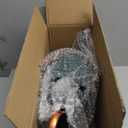 1 Gallon Metal Watering Can with Removable Spout, Nice Galvanized Steel Water Can with Embossed Design for Indoor and Outdoor Plants (Green)