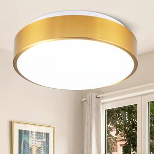 Gold Ceiling Light Flush Mount, LED Light Fixture 24W, Round Dimmable Flush Mount 5CCT for Bathroom, Living Room, Bedroom