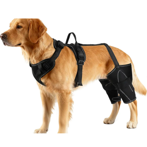 Rebron Dog Hip & Leg Support Harness for Mobility Assistance, Adjustable Rear Leg Brace with Lift Handle for Injured or Senior Dogs, Joint Stabilizing Hind Leg Support for Walking, Recovery, XL