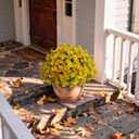 Fake Flowers Yellow Fall Flowers for Outdoors - 8 Bundles Artificial Mums UV Resistant for Home Garden Window Fall Decor