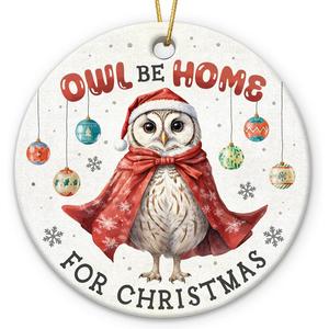 4 x Owl Ornaments for Christmas Trees - Unique Owls Gifts for Women, Men, Family, Coworker, Xmas Gifts for Owl Lovers, Animal Lover Gift for Friends Neighbors, Ceramic Bird Ornaments