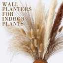4 Pcs Wood Wall Planter Vase with Artificial Flowers, Farmhouse Boho Wall Hanging Decor for Living Room Entryway Bathroom Bedroom Kitchen Office Home Decoration(24 Pcs,Dried Pampas Grass)