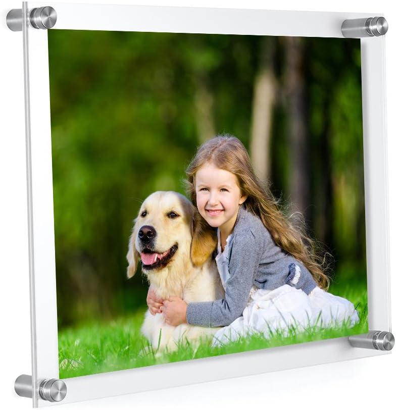 Meetu Acrylic 8.5x11 Frame -Inner 8x10 Picture Frame -Wall Mount Photo Frame to Use As Family Picture Frame, Baby Photo Frame, Document Frame, Art Frames -Make a Supper Clear Floating Look