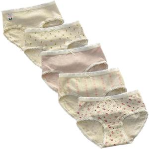 Womens Cotton Briefs Underwear  Breathable Mid-Rise Panties Soft Comfy Everyday Stretch Panties 5 Packs