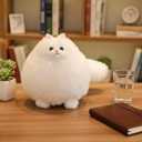 Winsterch Stuffed Animal Plushie Cat Stuffed Animal,Cute Soft Plush Cat Animals,White Stuffed Cat, Birthday for Kids,Boys,Girls,Fat Cat Stuffed Toy (White, 10 Inches)