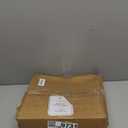 DN DECONATION Artificial Christmas Norfolk Pine Stems, Faux Pine Branches 35.4" 6PCS - Real Touch PE Greenery Fake Pine Needles for Vase Arrangements, Winter, Holiday Indoor Outdoor Home Decor (Set of 6, Green90)