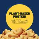 PLANTERS Deluxe Salted Whole Cashews, Party Snacks, Plant-Based Protein, Quick Snack for Adults, After School Snack, Roasted Cashew Flavored with Sea Salt, Bulk Nuts, Kosher, 1 lb 2.25oz Canister (EXP 06/18/27)