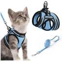 rabbitgoo Cat Harness and Leash, Step-in Escape Proof Kitten Harness Set, Soft Comfortable Cat Vest, Easy to Wear and Adjust, Reflective for Safe Outdoor Walking, Light Blue, Small