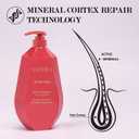 Saphira Dead Sea Minerals Shampoo  Sulfate Free Professional Hair Care  Hydrating & Nourishing Shampoo for All Hair Types (34 Fl Oz (Pack of 1))