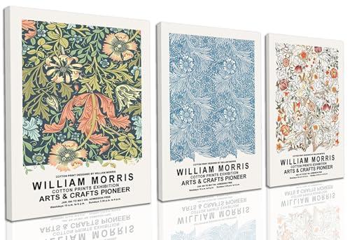 4 PCS William Morris Wall Art Set of 3 Vintage Botanical Wall Decor Nature Flower Exhibition Posters Retro Plant Canvas Prints Paintings for Living Room Bedroom Kitchen 16x24 Inch Framed