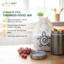 ecozoi Stainless Steel Insulated Lunch Box, Vacuum Insulated Food Jar, 17 Oz + Spork + Lunch Bag