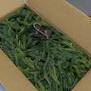 9ft Christmas Garland, Real Touch Norfolk Pine Garland for Decoration Christmas, Artificial Faux Greenery Garland for Mantle,Outdoor,Stairs Railing,Wall,Table,Indoor