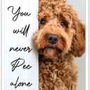 Funny Bathroom Wall Art Goldendoodle You Will Never Pee Alone Canvas Poster Print Funny Bathroom Signs Pictures Dog Lovers Computer Room Ideas Wall Decor 16x24inch Unframed (16L" x 24W")