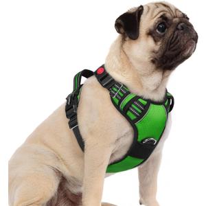rabbitgoo Dog Harness Small Sized, No Pull Dog Vest with 3 Buckles, Adjustable Soft Padded Pet Harness with Easy Control Handle and Reflective Strips, Green, S