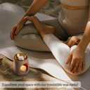 LETINE Wax Melts 10oz(4 Pack), Lemongrass Scented Wax Melts, 100% Soy Wax Melts Wax Cubes with Natural Strong & Non Toxic Essential Oil for Warmer, Gifts Set for Home Fragrance/Spa/Aromatherapy