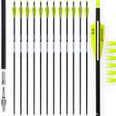 BOWSOUL 31Inch Carbon Arrows for Target Practice Hunting Arrow with Removable Tips for Compound & Recurve Bow(Pack of 12) (Yellow White)