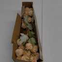 Hananona 12 Pcs Artificial Chrysanthemum Flowers, Beige Kiku Pom Pom Mums Flower Fall Faux Floral Arrangements Centerpiece for Autumn Home Kitchen Decor (12, Beige)