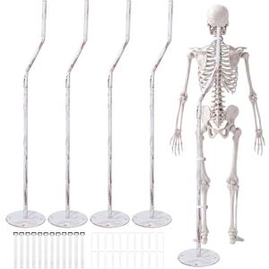 Briwooody 4 Sets White Large Halloween Skeleton Stand, Halloween