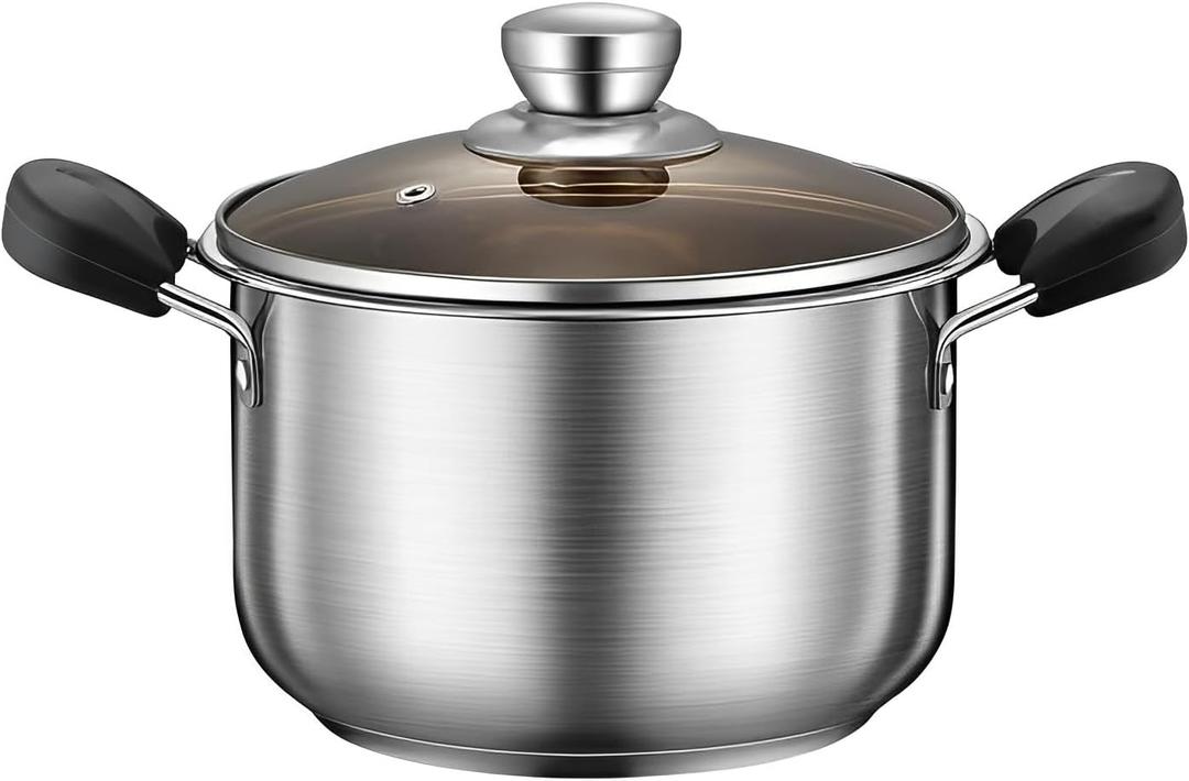 Stainless Steel Cooking Pot with Lid | 2 Quart (Dual Handle) | Perfect for Soup, Noodles, Baby Food | Induction & Gas Stove Compatible