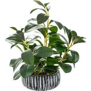 AlphaAcc Artificial Plants Decor Greenery Fake Succulents Indoor Potted Fake Plant with Rustic Black Clay Planter for Home Decor Farmhouse Room Bathroom Bedroom Kitchen Office Table Decor (12.8" H)