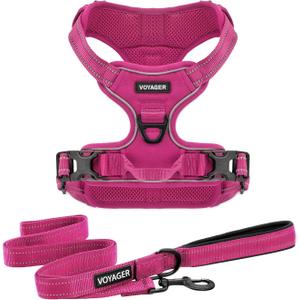 Voyager Dog Harness Dual Leash Attachment No-Pull Control Adjustable Soft but Strong Pet Harness for Medium and Large Dogs with 3M Reflective Technology, Leash Set Fuchsia Nylon, L (Chest: 25-30")