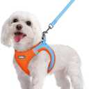 rabbitgoo Dog Harness Small Sized and Leash Set, Step in Soft Light Puppy Vest, Breathable Mesh Pet Harness, Reflective for Safe Easy Walking, Blue & Orange M (M (Chest: 16 - 18.5"))
