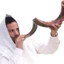 Kosher Kudu Shofar Horn from Israel 43-45  Traditional Half Polished Kudu Shofar Holy Voice Easy Blowing Ancient Jewish Musical Instrument