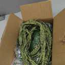 emours Flexible Realistic Jungle Vines Pet Habitat Decor for Lizard,Frogs, Snakes,Chameleons and More Reptiles, 3.6ft Long