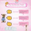 Dog Diaper Liners for Male and Female Dogs, 100ct, Super Absorbent Disposable Dog Diapers Booster Pads fit Most Pet Belly Bands and Wraps (Regular)