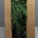 Nearly Natural 2ft. Norfolk Island Pine Natural Look Artificial Tree in Decorative Planter (Green)