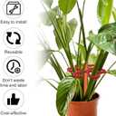 2 x 2pcs Plant Stem Support, Plant Climbing Stem Holders Reusable Houseplant Growth Accessories Plastic Plant Stem Hook Stakes for Growing Plants Outdoor & Indoor for Monstera Vertical Growth (Red)