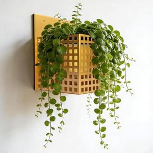 Gukoee Wall Planters for Indoor Plants, Wall Plant Holder Self-Watering Wall Vase for Live or Faux Plants,Indoor/Outdoor Modern Gold Plant wall Hanger, Spirit Level Included